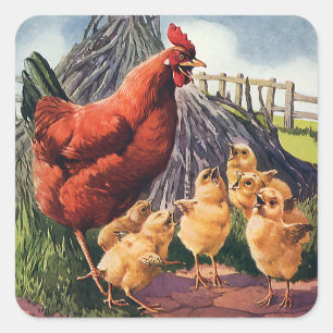 Pegatina Cuadrada Animales Antiguos, Gallina con Pollitos en la Gran