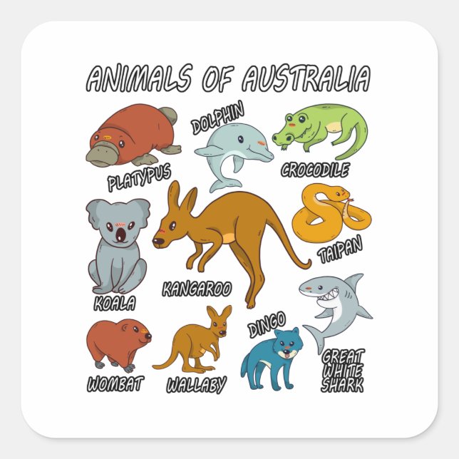 Pegatina Cuadrada Animales De Australia (Anverso)