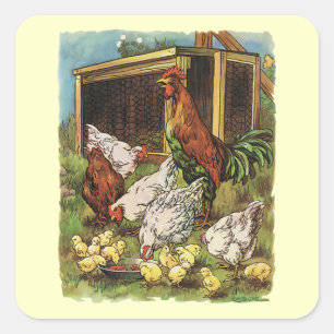 Pegatina Cuadrada Animales de granja antiguos, gallo, gallinas, poll