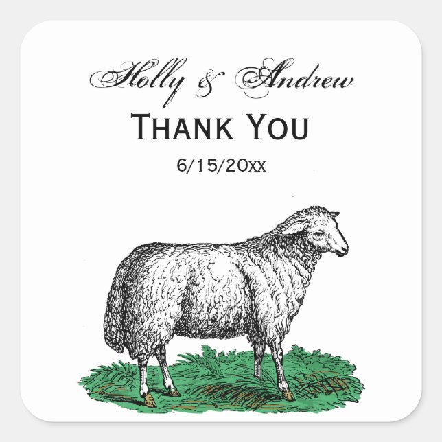 Pegatina Cuadrada Animales de la granja de ovejas de la época C (Anverso)
