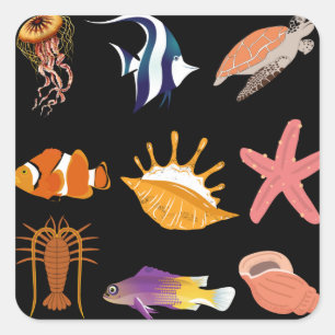 Pegatina Cuadrada Animales marinos: peces, tortugas, conchas marinas