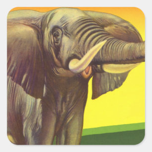 Pegatina Cuadrada Animales salvajes vintage, elefante africano con p