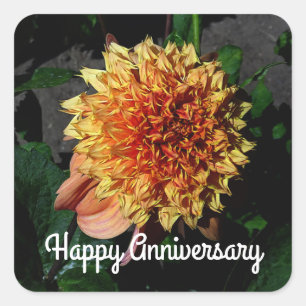 Pegatina Cuadrada Aniversario feliz Dahlia Sandia Brocade #1 Plaza
