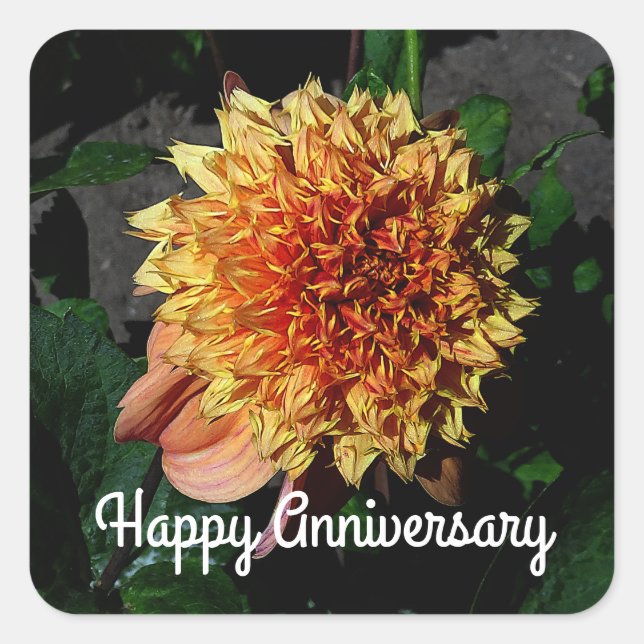 Pegatina Cuadrada Aniversario feliz Dahlia Sandia Brocade #1 Plaza (Anverso)