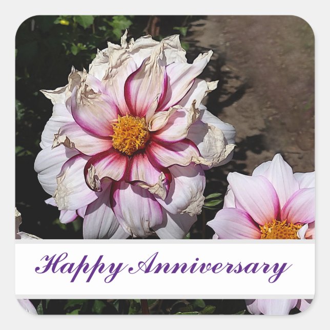 Pegatina Cuadrada Aniversario feliz de Dahlia Borde de la alegría #1 (Anverso)