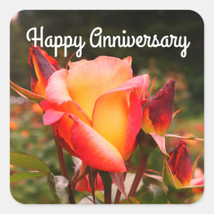 Pegatina Cuadrada Aniversario feliz del Rosa de la Sorbez Arcoiris #