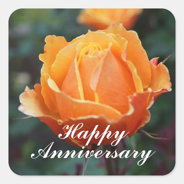 Pegatina Cuadrada Aniversario feliz sobre el Rosa #1 Pegatinas (Anverso)