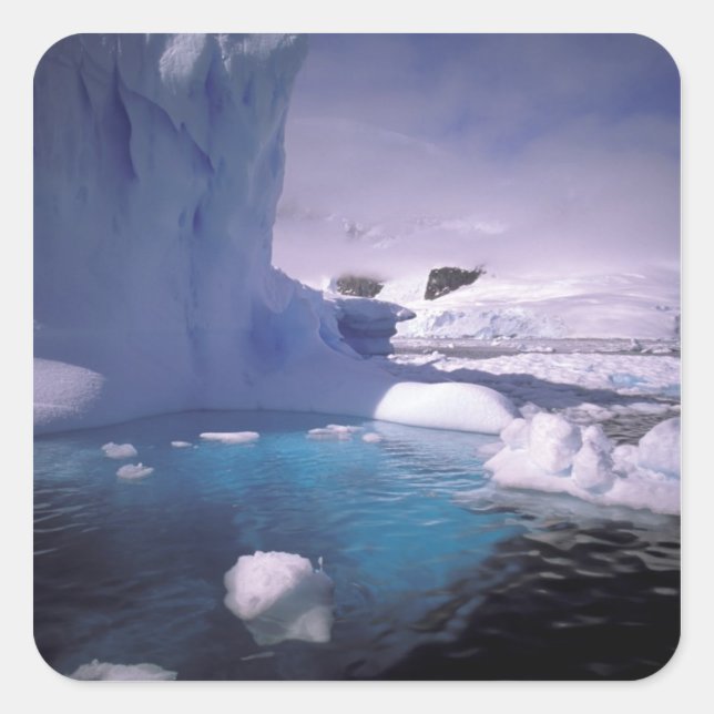 Pegatina Cuadrada Antártida. Paisajes de hielo antárticos 2 (Anverso)