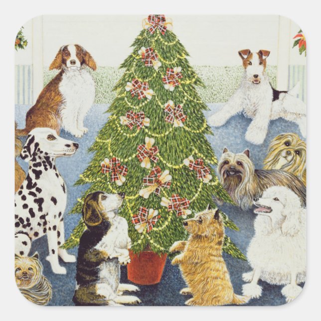 Pegatina Cuadrada Anticipación (Anverso)