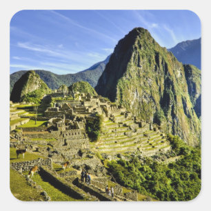 Pegatina Cuadrada Antigua Machu Picchu, último refugio de la