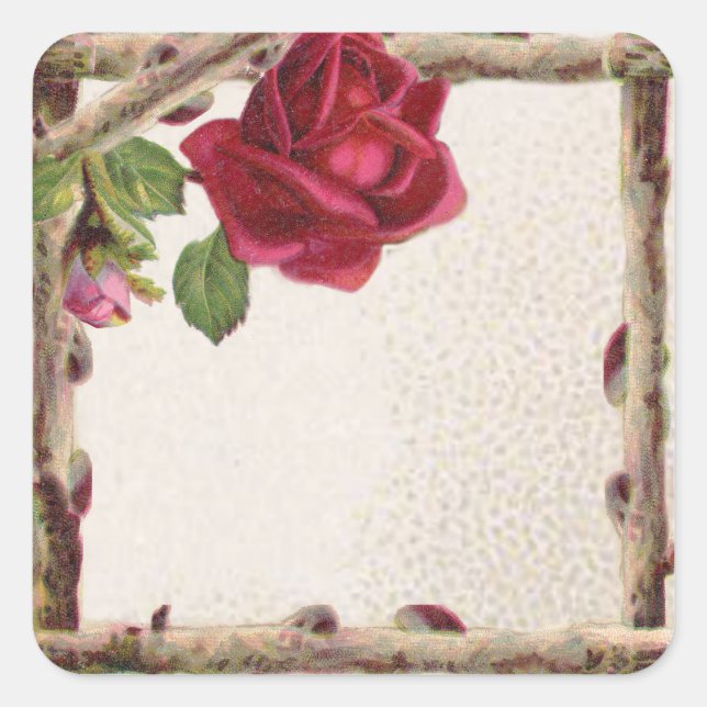 Pegatina Cuadrada Antigüedad victoriana antigua rosa rústica (Anverso)