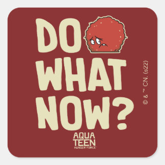 Pegatina Cuadrada Aqua Teen Hunger Force Meatwad "Do What Now?"