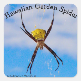 Pegatina Cuadrada Araña Jardín Hawaiano