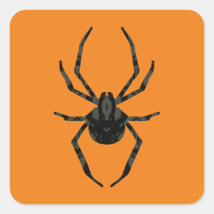 Pegatina Cuadrada Araña Vieja Ligera