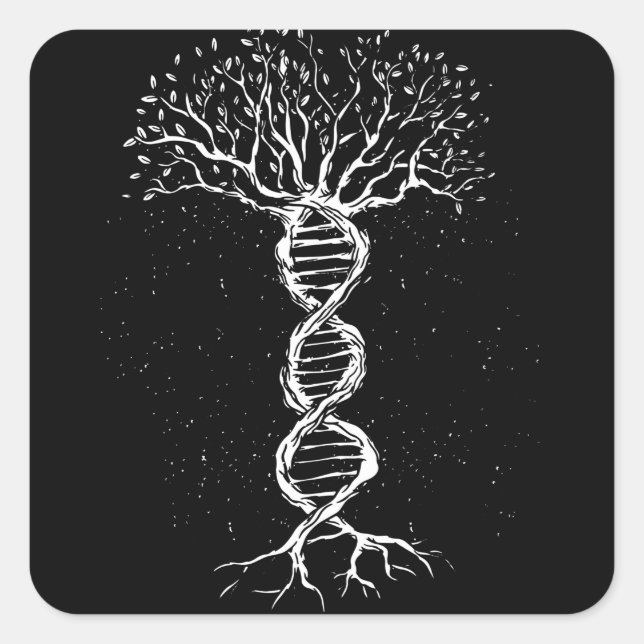 Pegatina Cuadrada Árbol de ADN (Anverso)