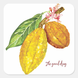 Pegatina Cuadrada Árbol de chocolate acuático