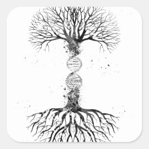 Pegatina Cuadrada Árbol de la DNA