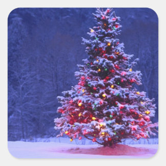 Pegatina Cuadrada árbol de navidad