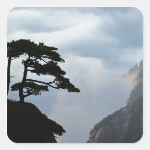 Pegatina Cuadrada Árbol silueteado al amanecer, Montaña Amarilla,