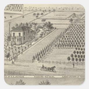 Pegatina Cuadrada Arbolado de las residencias, aterrizaje de los