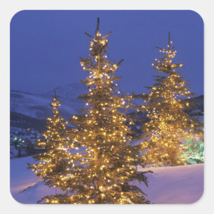 Pegatina Cuadrada Árboles de navidad, Park City, montañas de Wastc