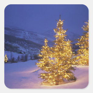 Pegatina Cuadrada Árboles de navidad, Park City, montañas de Wastch,
