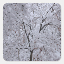 Pegatina Cuadrada Árboles de nevada