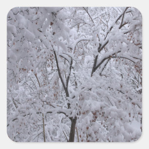 Pegatina Cuadrada Árboles de nevada