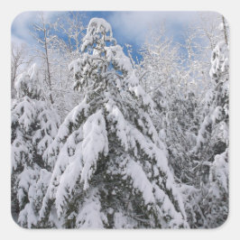 Pegatina Cuadrada Árboles nevados