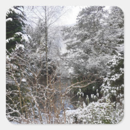 Pegatina Cuadrada Árboles nevados