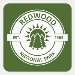 Pegatina Cuadrada Árboles solares del Parque Nacional de Redwood