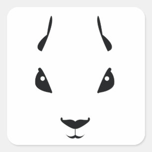 Pegatina Cuadrada ardilla