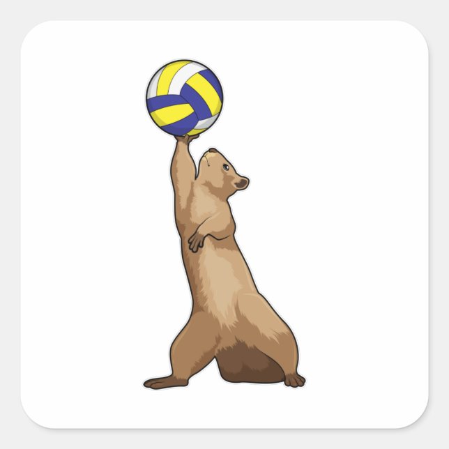 Pegatina Cuadrada Ardilla con voleibol (Anverso)