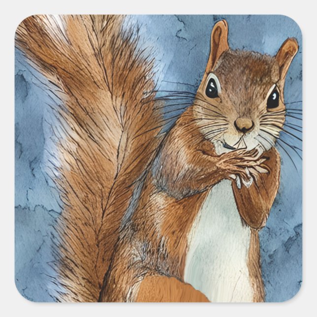 Pegatina Cuadrada Ardilla de color de agua suave esbozada (Anverso)