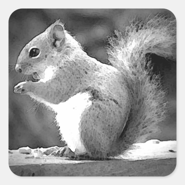 Pegatina Cuadrada Ardilla de comer (Anverso)