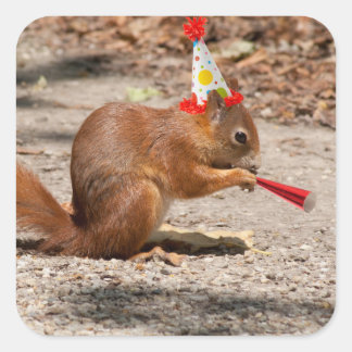 Pegatina Cuadrada ardilla de cumpleaños feliz