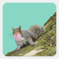 Ardilla que sopla una foto de un animal de burbuja