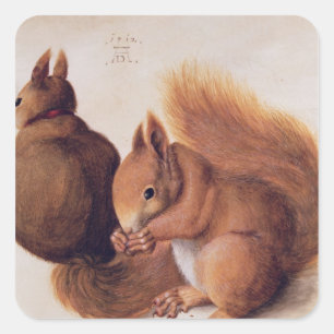 Pegatina Cuadrada ardillas, 1512