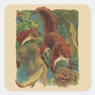 Pegatina Cuadrada Ardillas Vintage, Criaturas del Bosque, Animales S