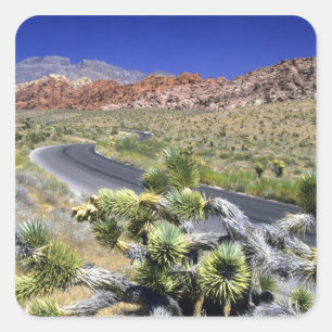 Pegatina Cuadrada Área Nacional de Conservación del Cañón Red Rock, 