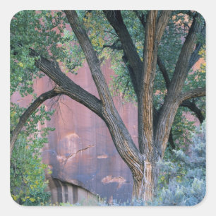 Pegatina Cuadrada Área Recreativa Nacional Glen Canyon, Utah. EE. UU