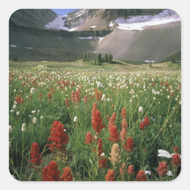 PEGATINA CUADRADA ÁREA VIRGEN MOUNT TIMPANOGOS, UT, EE. UU., (Anverso)