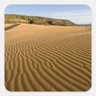 Pegatina Cuadrada Arenas y dunas en la arena rosa de Coral 2
