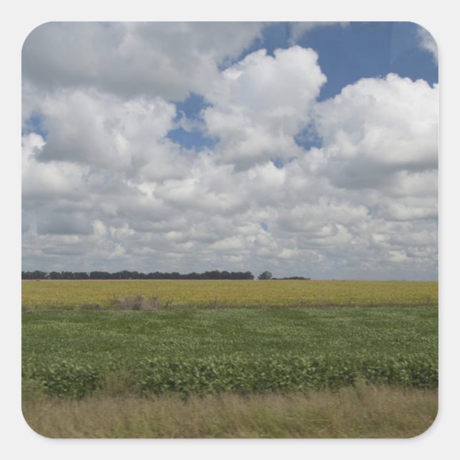 Pegatina Cuadrada Argentina, Buenos Aires, San Antonio de Areco. (Anverso)