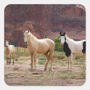 Pegatina Cuadrada Arizona, Reserva de indios navajos, Chinle,