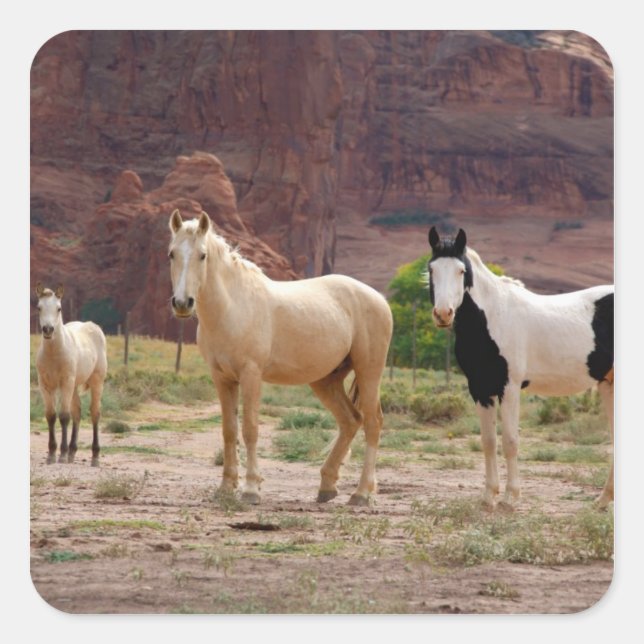 Pegatina Cuadrada Arizona, Reserva de indios navajos, Chinle, (Anverso)