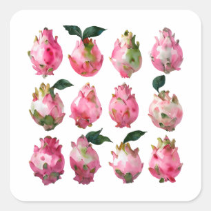 Pegatina Cuadrada Arte acuático de Pitaya tropical