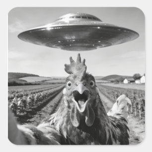 Pegatina Cuadrada Arte de Abducción de Pollo OVNI Alien Humor SciFi