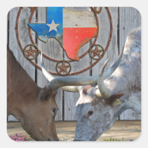 Pegatina Cuadrada Arte de Barn de Texas