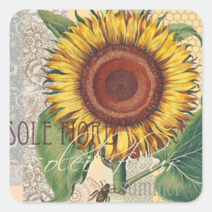 Pegatina Cuadrada Arte de Flor de Damasco Vintage Girasol